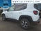 2022 Jeep Renegade Trailhawk